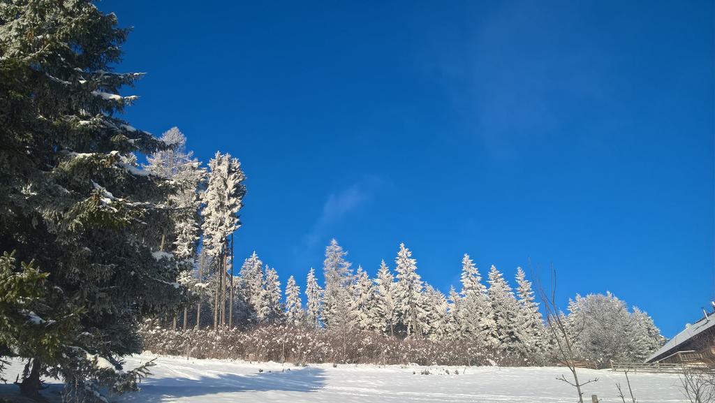 阿夫里茨艺术旅舍公寓 外观 照片